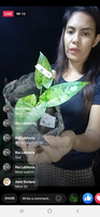 Tribute Image