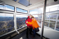 Tribute Image