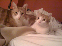 John and George 