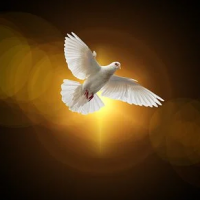 Wilfredo Valentin-Marquez