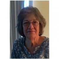 Nancy Joy Mendelsohn Feldman