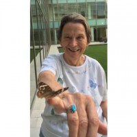 Geraldine Marie Spillers 