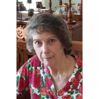 Norene Stelter Johnson