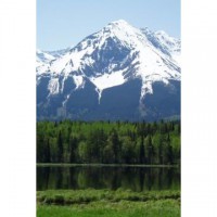 Ron Philpott (Ronald)