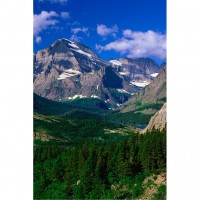 William "Bill" Wangler