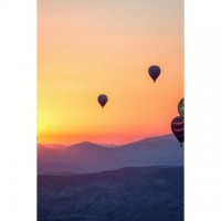 Christine Migliore Stevens