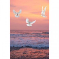 Isagani "Ganny" Cornelio