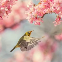 Cathy Loraw Bartholomee