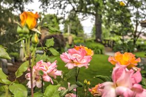 Joseph \"Joe\" Storer