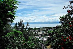 Rodolfo Ortega-Jimenez