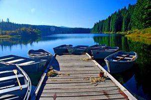 Clarence Terwilliger