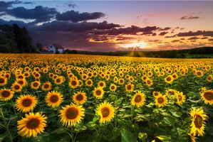 Caroline \"Gepford\" Bowen