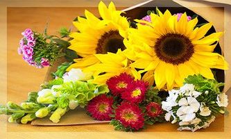 Elizabeth Farrington