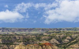 Roberta \"McCready\" Bany