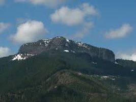 Harold \"Dewey\" Smidt