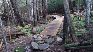 Francis \"Frank\" Delano