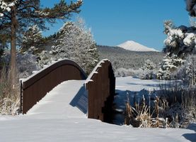 Deborah \"Deb\" Dale