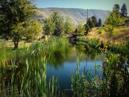 Donald Froggatte III