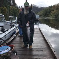 Robin \"\"Roy\"\" David