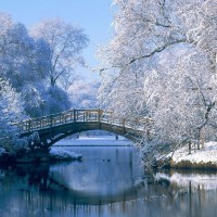 Osvaldo Gonzalez Garcia