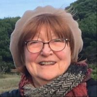 Diane Dixon Beuerman