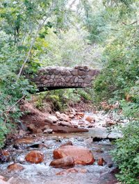 William \"Bill\" Chase