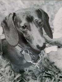 Judith \"Judy\" Reel