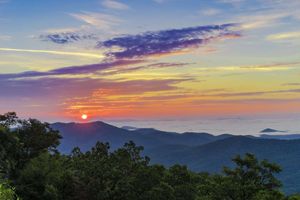 Joseph \"Big Joe\" Bolesta