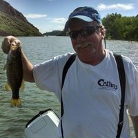 Timothy \"Tim\" Theiler