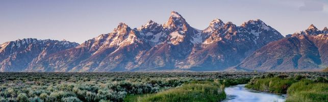 Walter \"Dutch\" Tucker