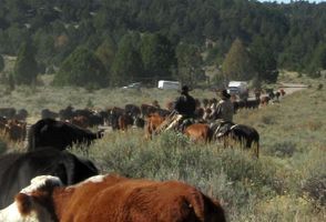 George \"Ted\" Payne