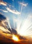 Kari \"Alexis\" Feld