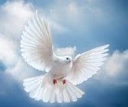 John \"Boy\" Rodriquez