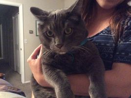 John-Charles Brannon