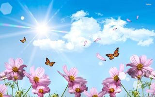 Pauline \"Polly\" Cosyns