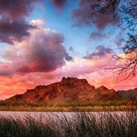 Michael Washington  Sr.