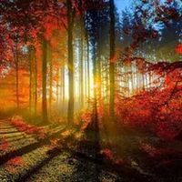 Thomas Breakiron  Sr.