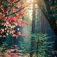 Theresa Berkstresser