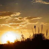 Himdag Garcia-Martinez