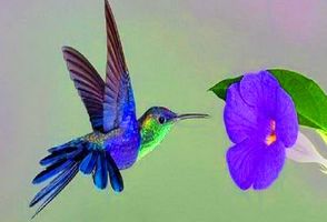 Margaret \"Marge\" Bohnenkamp