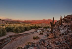 Harold \"Doc\" Blanshan