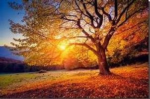 Sukumaran Peetikayil