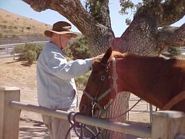 William \"Bill\" Bernard