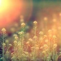 Consuelo \"Connie\" Collins