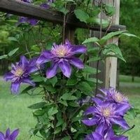 Katherine \"Kate\" Smith