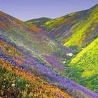 Randy \"Georgie\" Vansickle