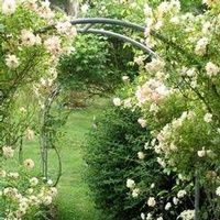 Florence \"Alma\" Rinehart