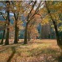 Bertram \"Bert\" Bryson