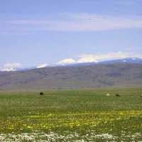 Michael Lund Laurence