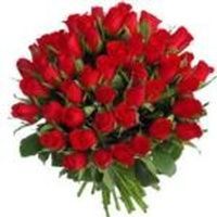 Jacqueline O'Sullivan